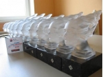 První nominace na firemní auto roku 2009