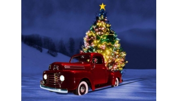 41cd_christmastreeincar